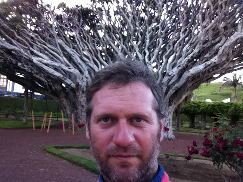 автопортрет с деревом