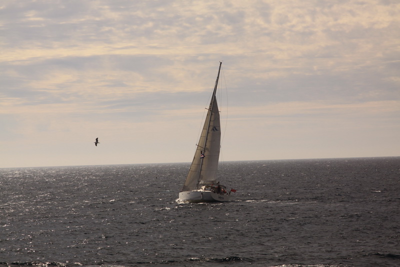 IMG_6027_новый размер