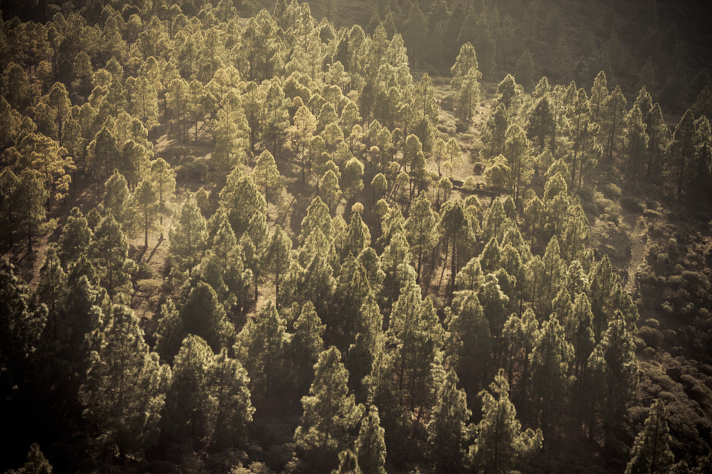 gran-canaria-park-31