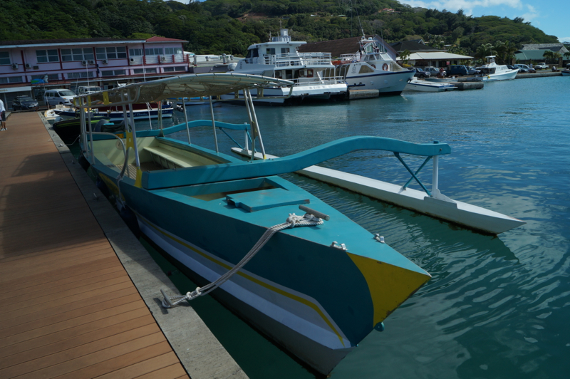 большое моторное каноэ с балансиром