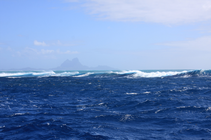 волна на рифе