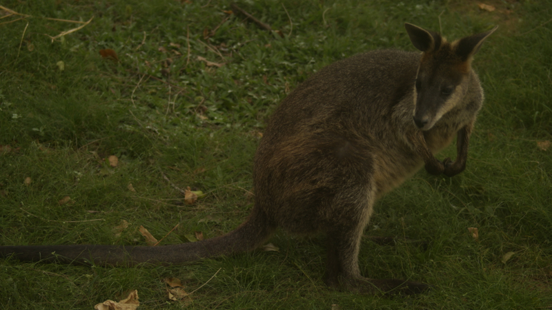 _DSC7720_resize
