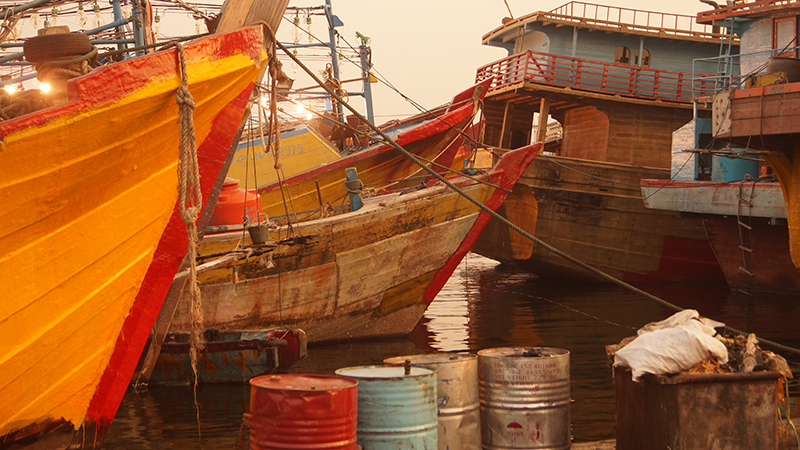 носы и кормы