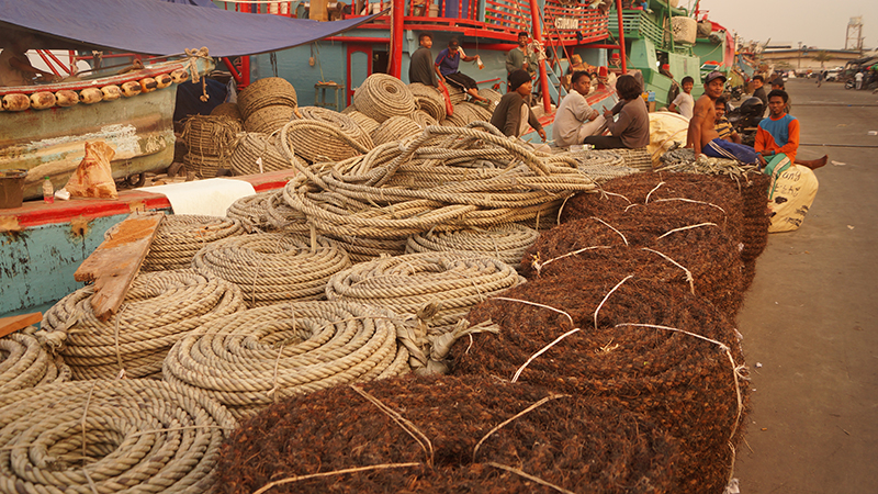 Веревки-канаты