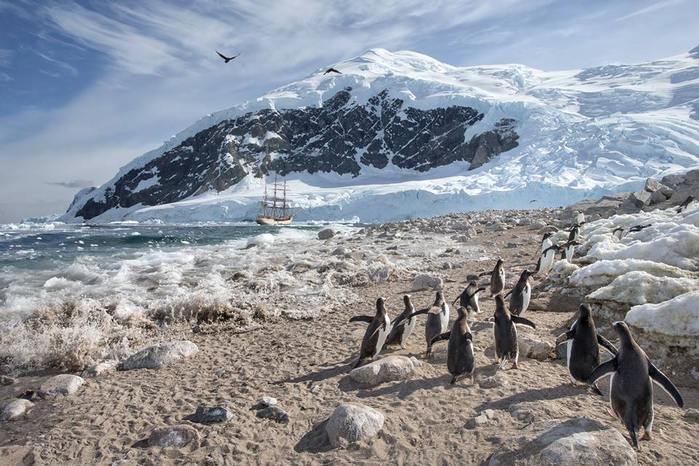 119114113_10485142_718795518182799_771819700703472580_n