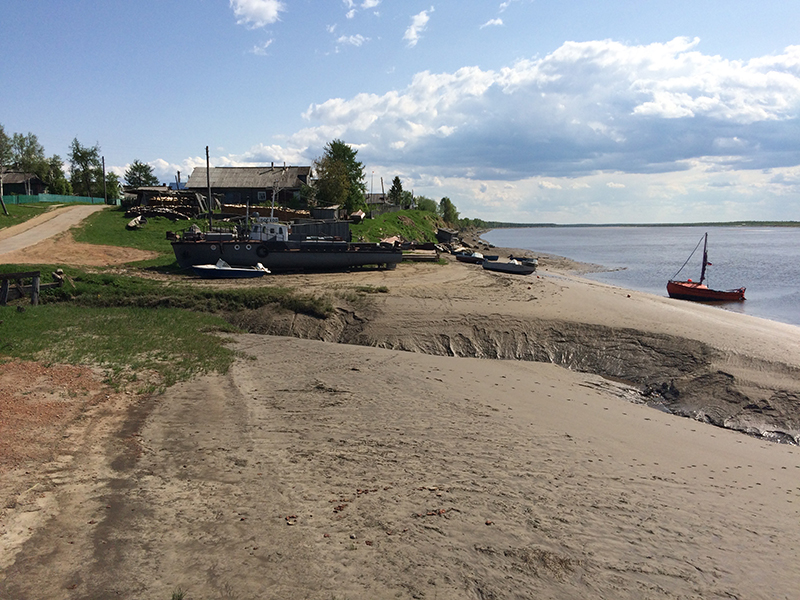 Морошка в Долгощелье