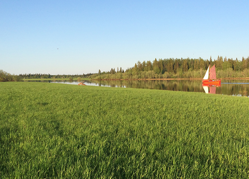 Морошка в Кулое