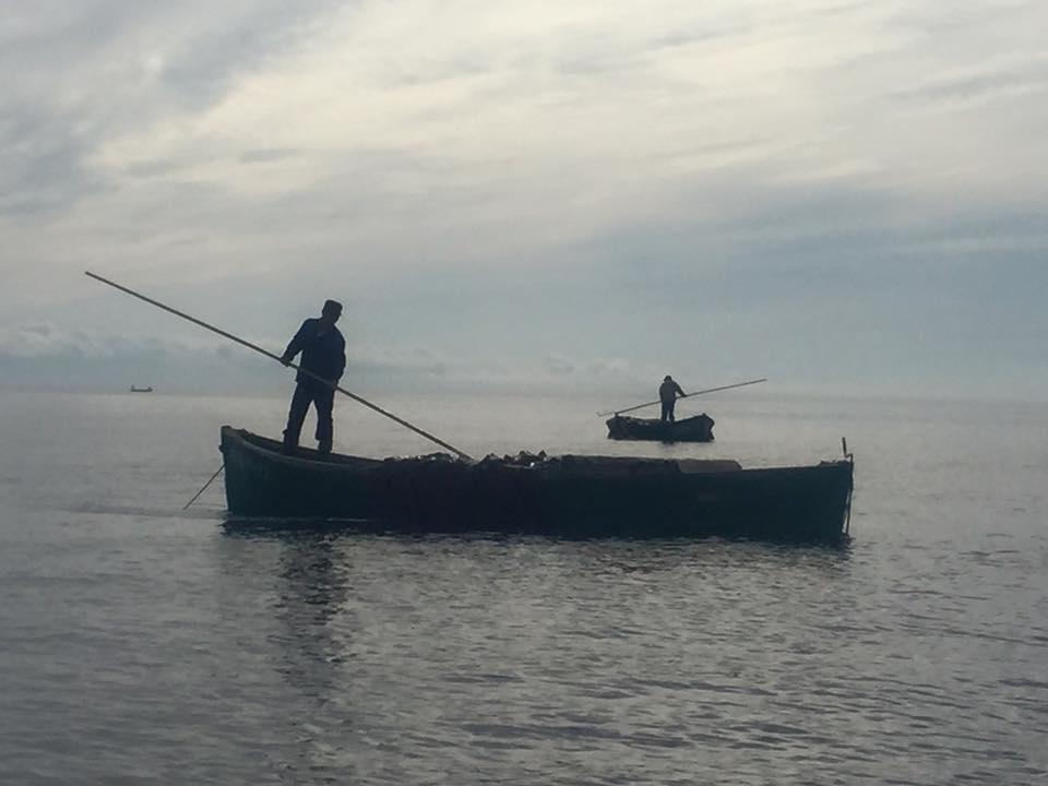 Поморский карбас сегодня