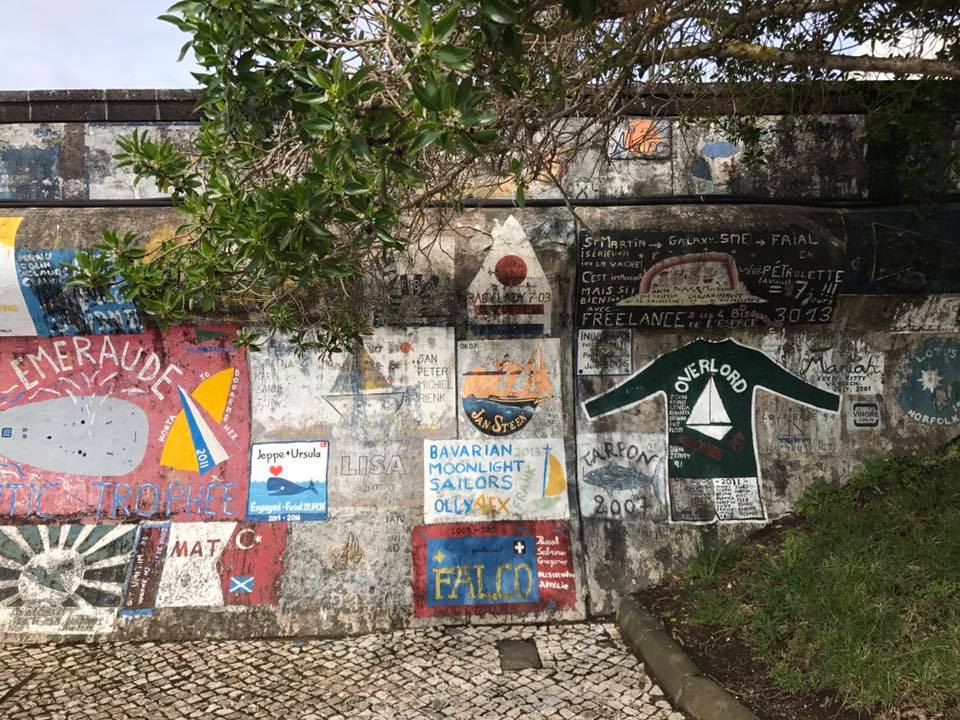 18622384_1317656441637162_7198017967279691748_n