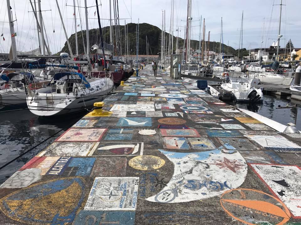 18699822_1317656794970460_6745871163017194015_n