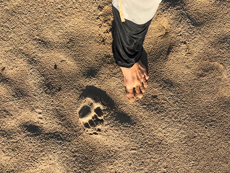 19198548_1356989864370486_1599642837_n