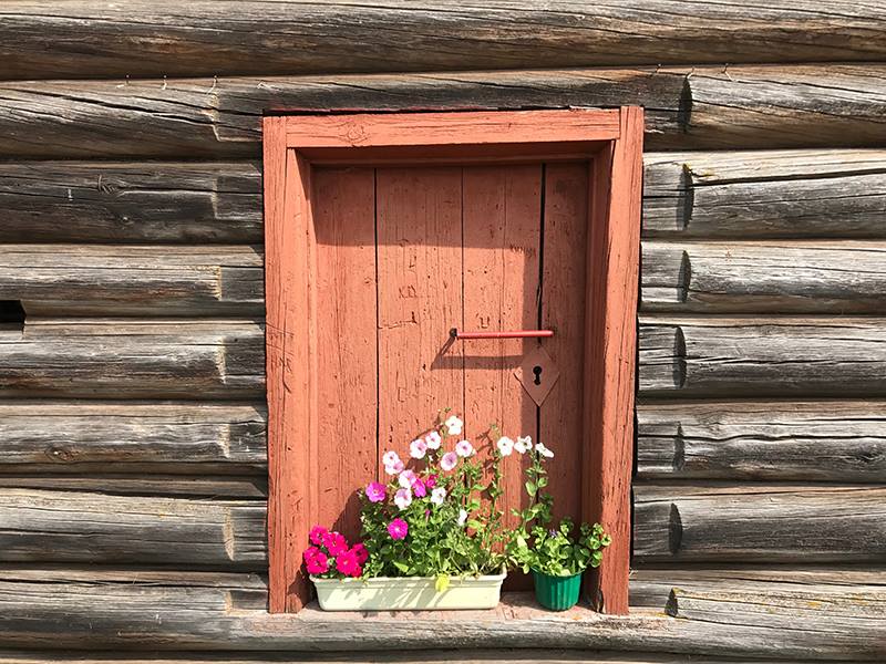 19964921_1356998767702929_1576626371_n