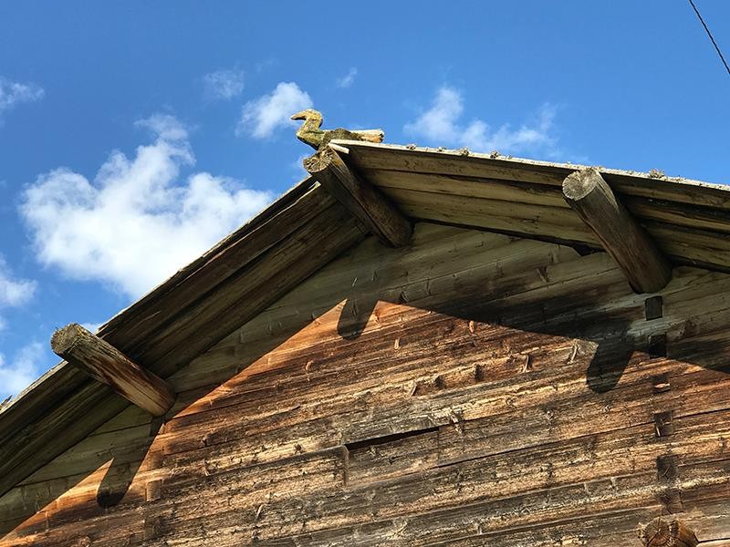 19987366_1356927294376743_753431421_n-800x600