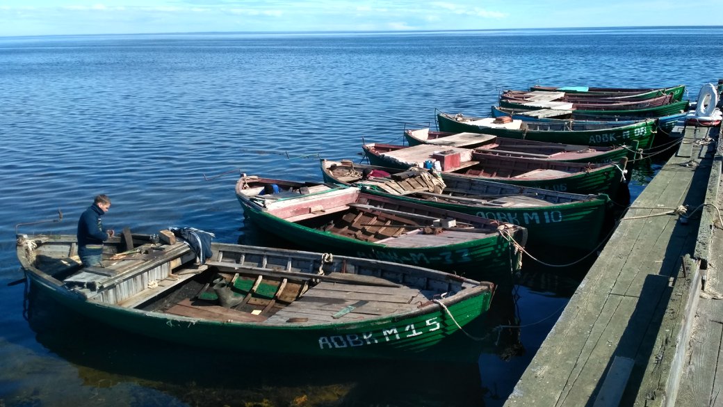 36637452_952131921616165_8316760309603762176_o