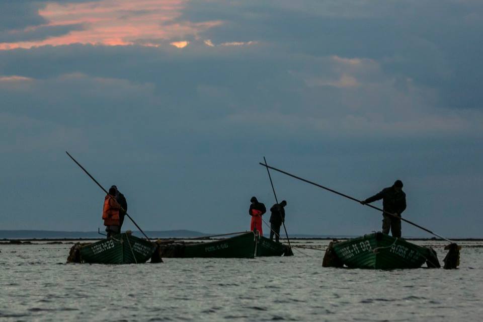 36700196_954161011413256_4633836899939647488_n