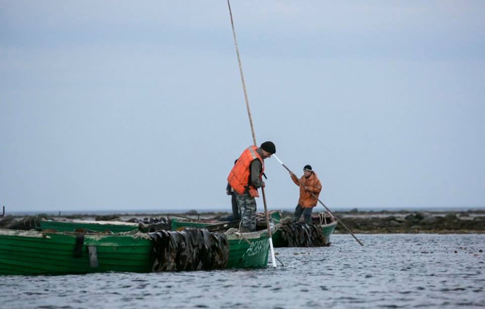 36723606_954161091413248_1947961152717717504_n