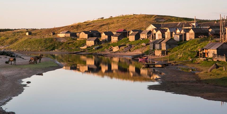 36822046_956052791224078_4472431079768195072_n