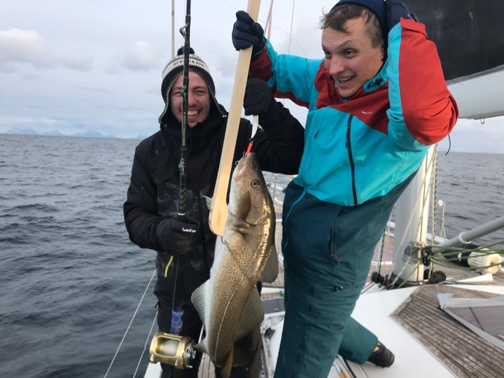 53740569_272518570308774_7133805666359050240_n