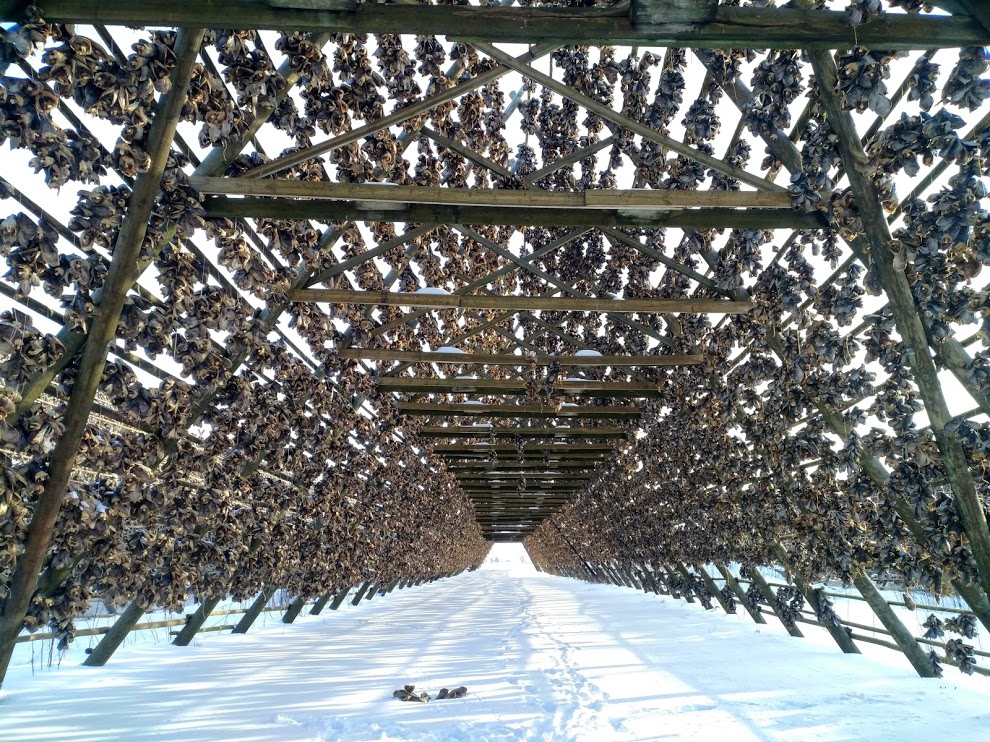 IMG_20190309_101716_HDR