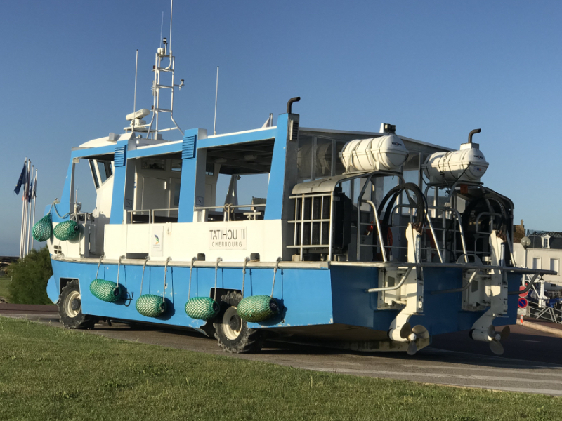 амфибия Сен-Вааст-ла-Угэ