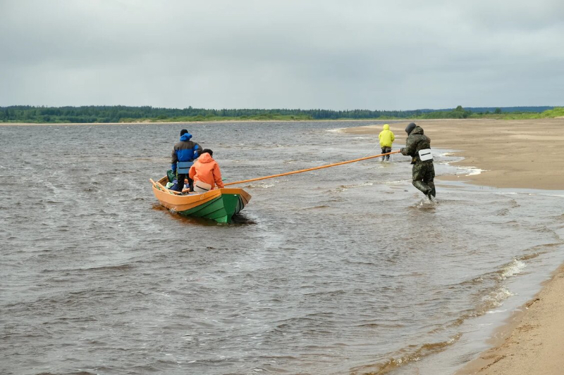 бичевой против ветра