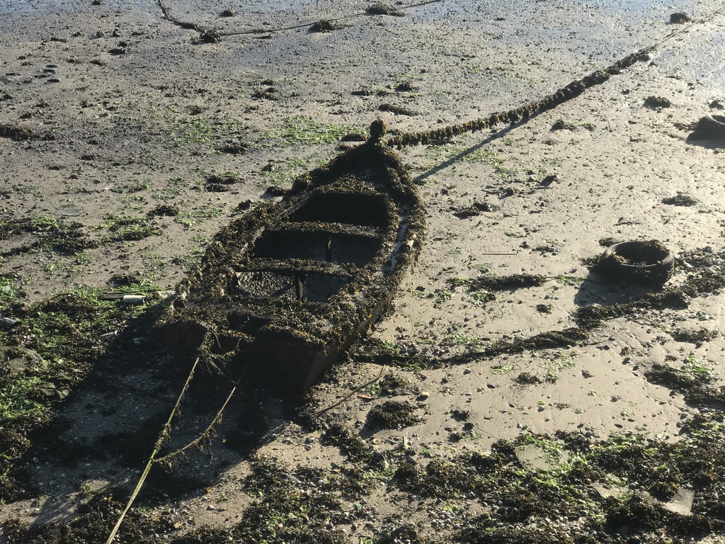 UNADJUSTEDNONRAW_thumb_2e63