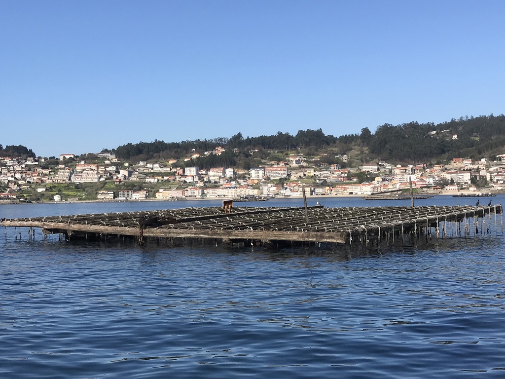 UNADJUSTEDNONRAW_thumb_2e66