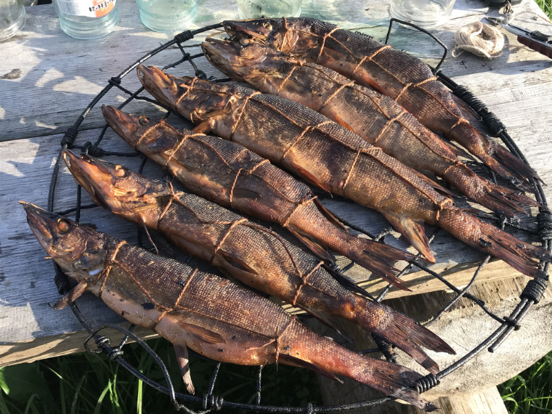 щука копченая