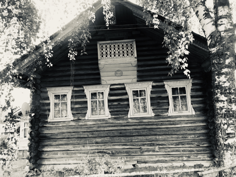 дом с березой