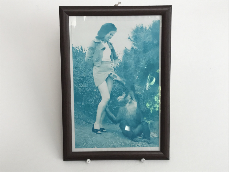 это фото турки оченб любят