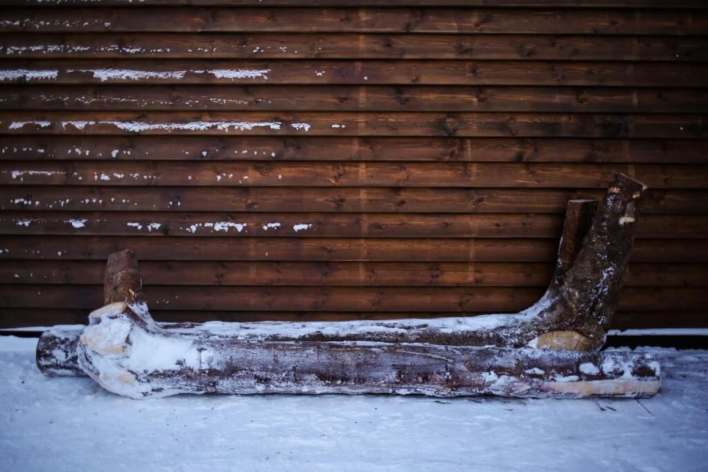 Кокоры из Лекшмозерья